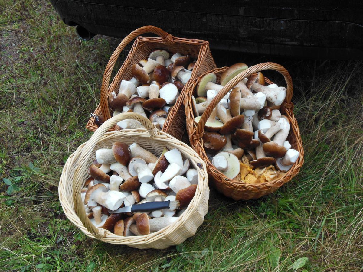 Gaestrum Gnottnehult Osterbymo Kültér fotó