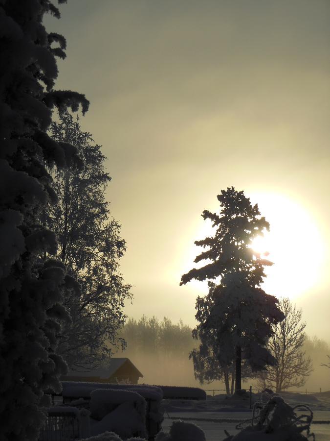 Gaestrum Gnottnehult Osterbymo Kültér fotó